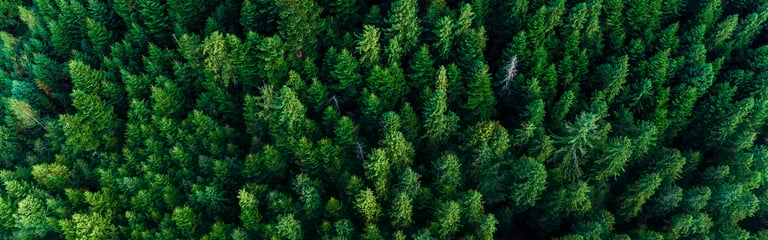 is_1174236917_1920x600